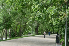 Парк "Садки" г. Москва, 2022 г.