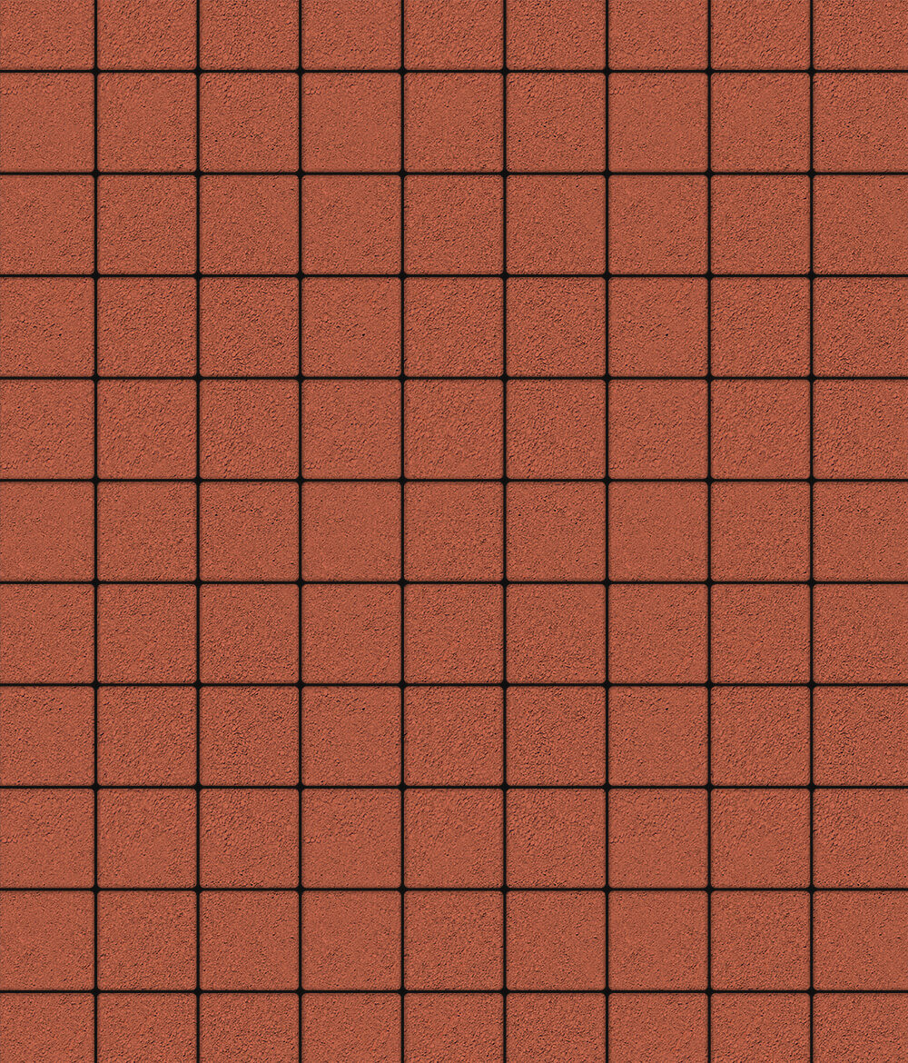 Тротуарная плитка Ла-Линия 100  ✕ 200 Стандарт Красный 40