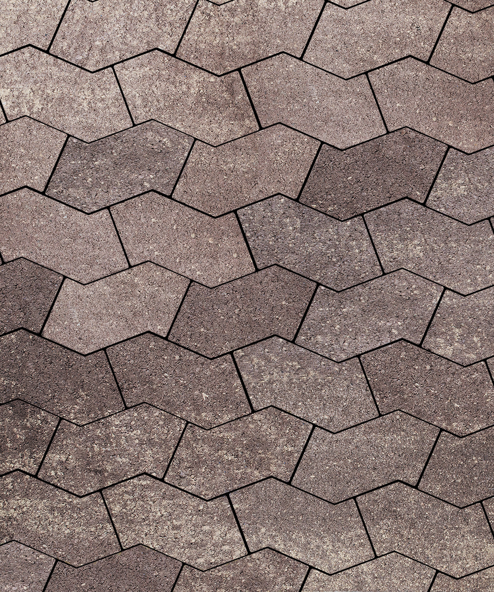 Тротуарная плитка S-форма Искусственный камень Плитняк  100  172x94